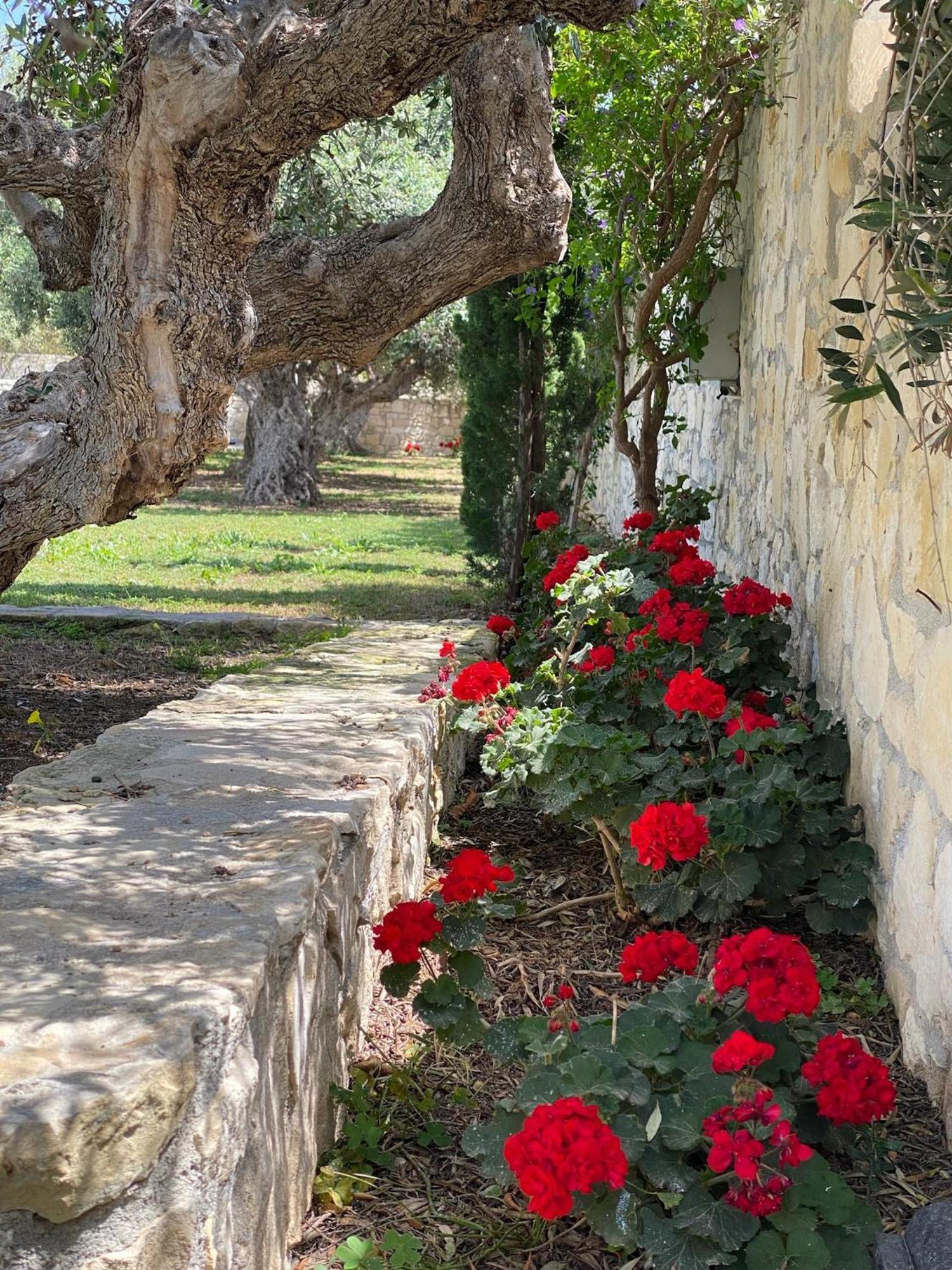 Villa Marmelada Ierápetra Buitenkant foto